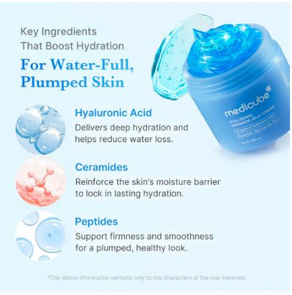 Hyaluronic Ceramide Moisturizing Jelly Cream